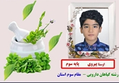 کسب مقام سوم استان در در رشته طراحی پوستر گیاهان دارویی